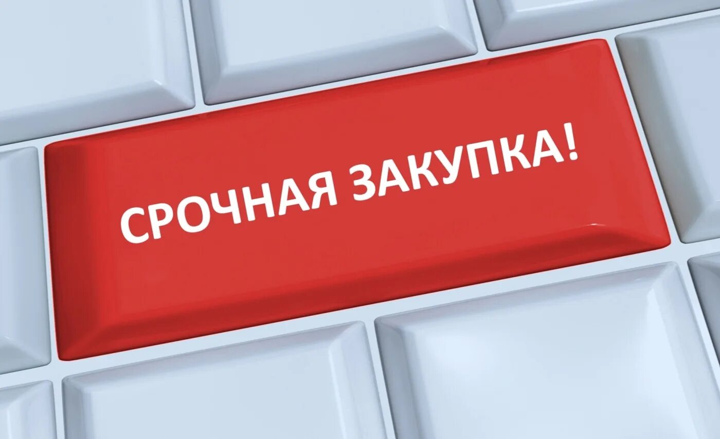 Аналогичная закупка. Срочная закупка. Закупки картинки. Закуп картинка. Открытые закупки.