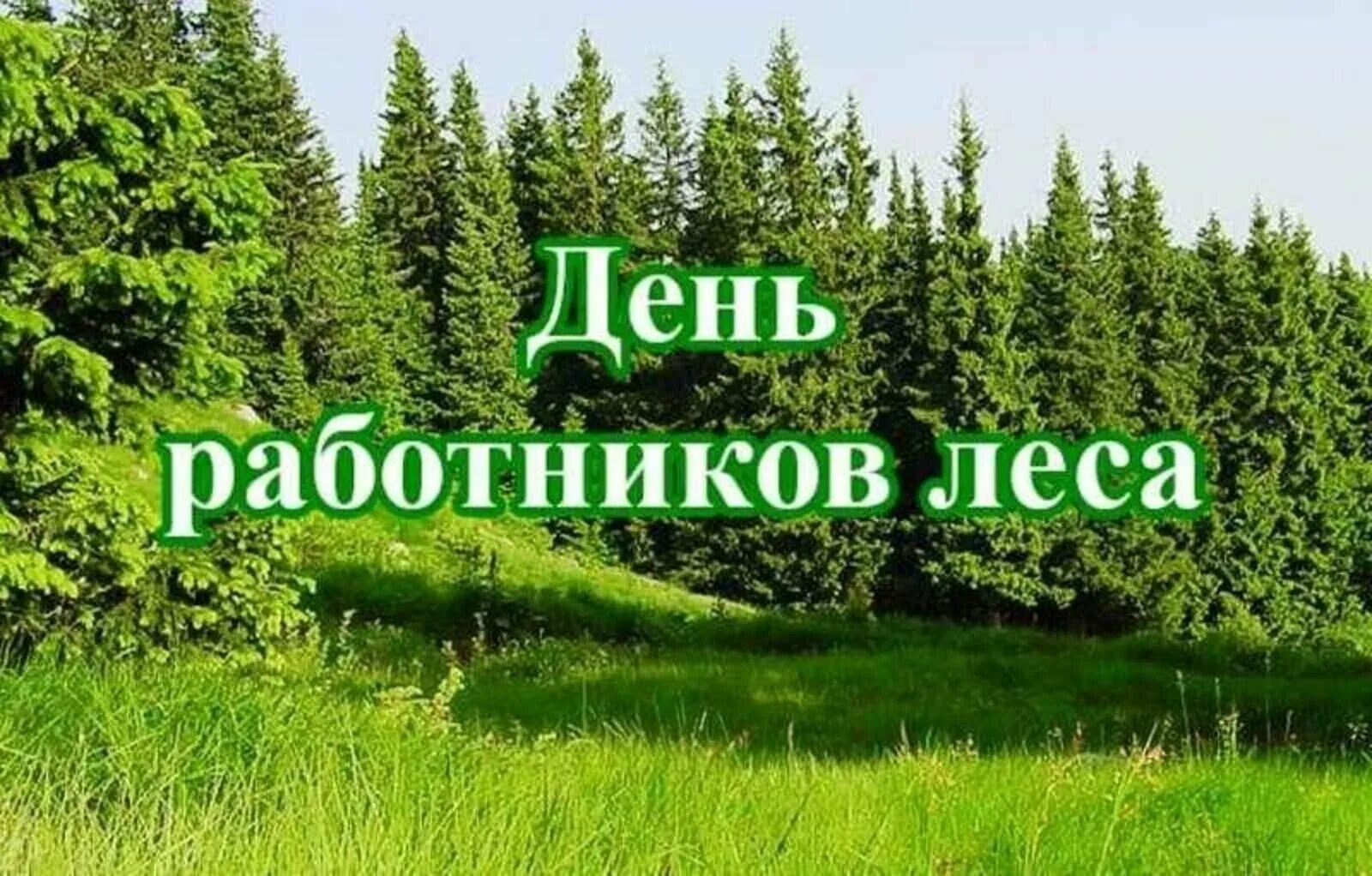 День работника леса. С днем работника леса. поздравление с днем работника леса. день работников леса открытки. с днем работника лесного хозяйства.