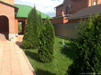 Дом пригородный оренбург
