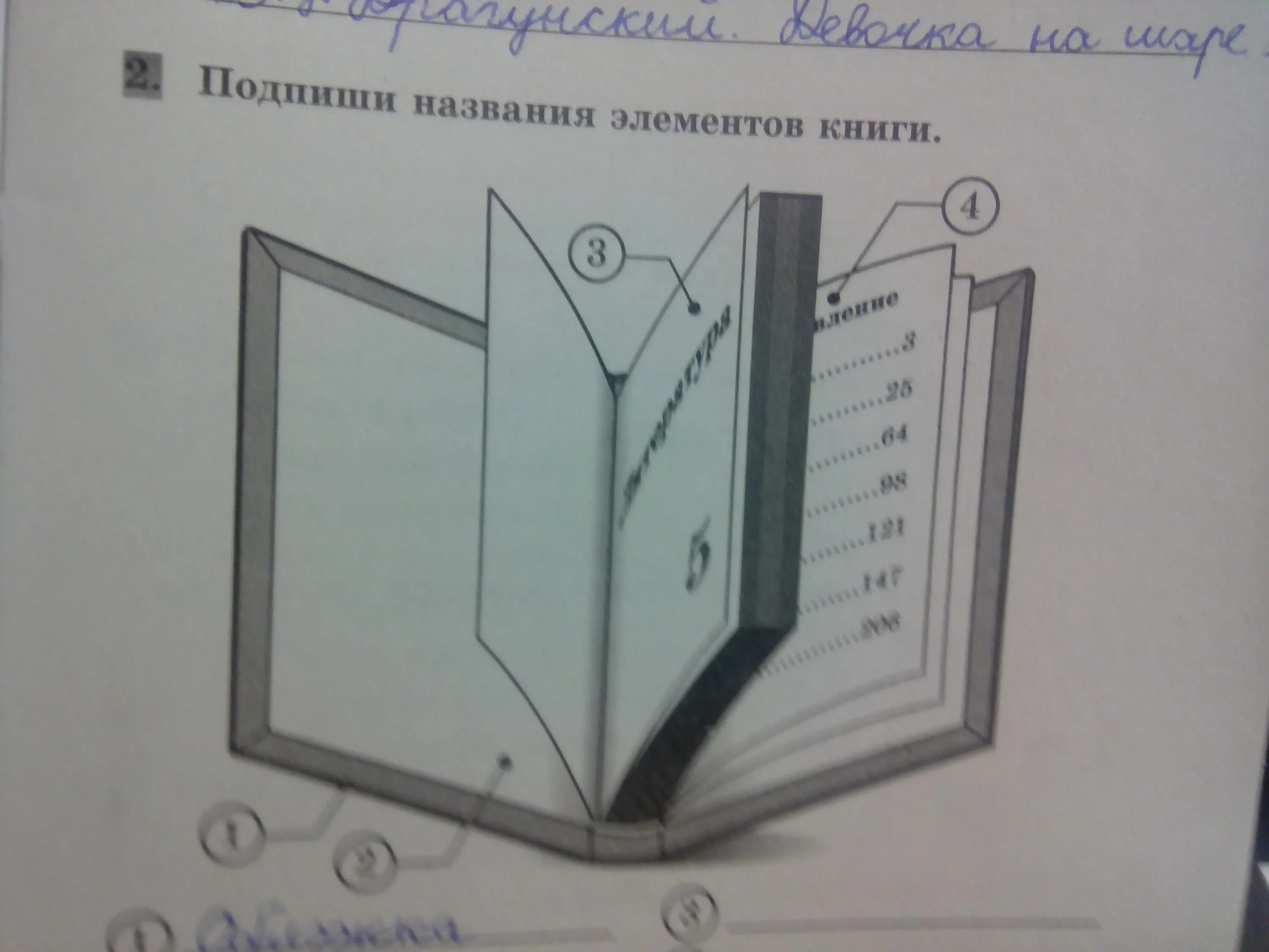 5 элементов книги. Элементы книги. Название элементов книги. Основные элементы книги. Строение книги.элементы книги.