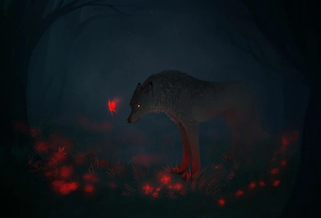 Волк светятся глаза. Лисы ночью. Волки с красными светящимися глазами. Лиса тьмы. Лисица ночью в лесу.