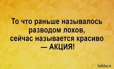 Песня разведу лоха умела