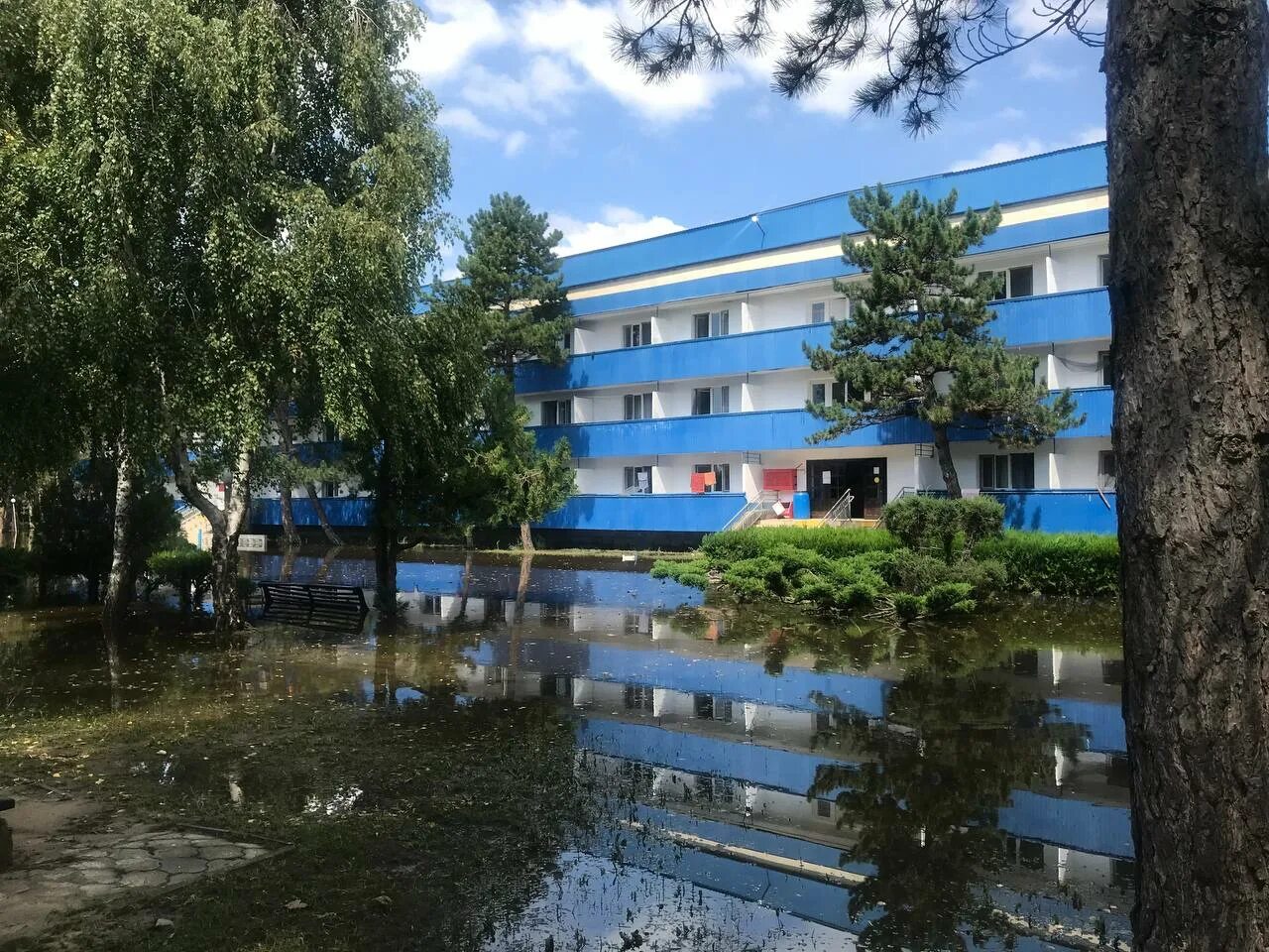Дол черноморская. Детские оздоровительные лагеря – «черноморская зорька». Лагерь янтарь анапа. Анапа!. Дол черноморская.
