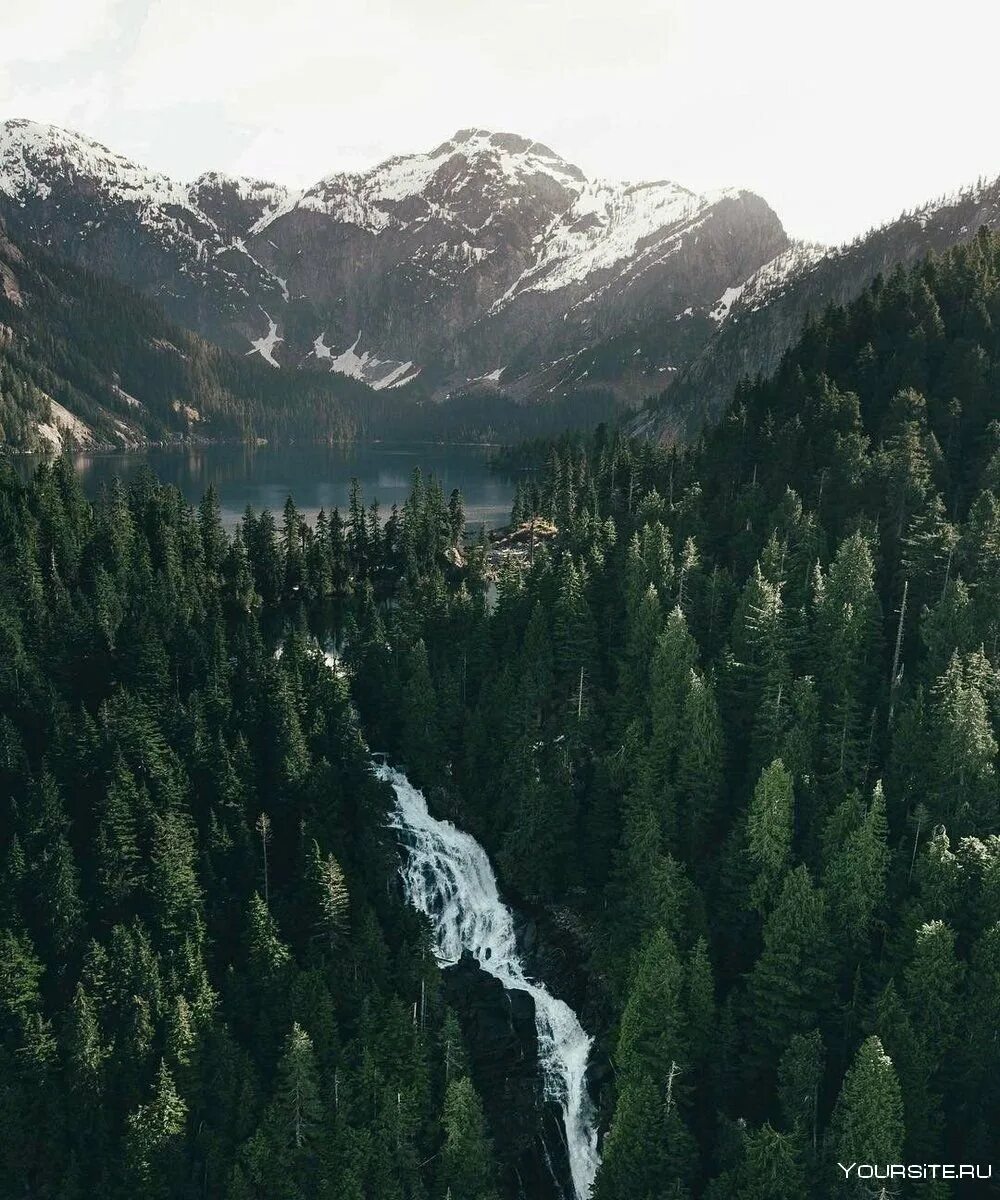 Национальный парк олимпик штат вашингтон сша обои. Горы с лесом. Горный лес. Карпаты, урал, алтай. Темнохвойная тайга хакасия.