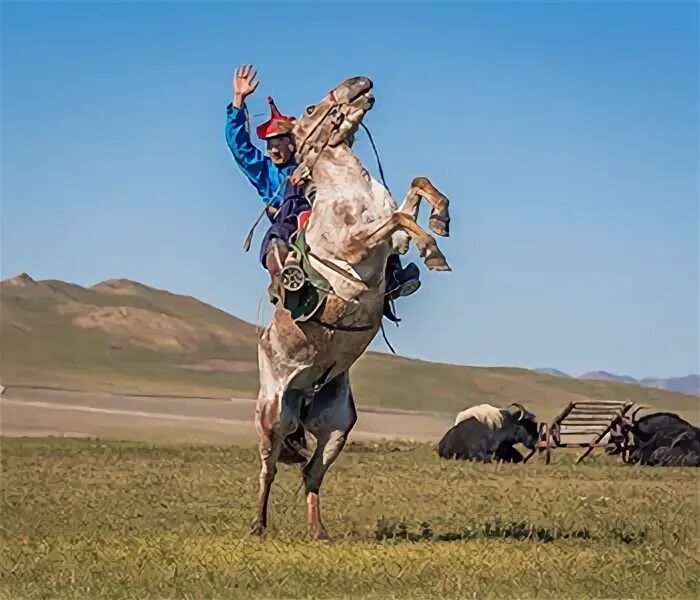 Семья кочевых монголов 3 буквы сканворд. Mongol nomadic. монгольские кочевники. кочевки монголов. богатые кочевники монголии.
