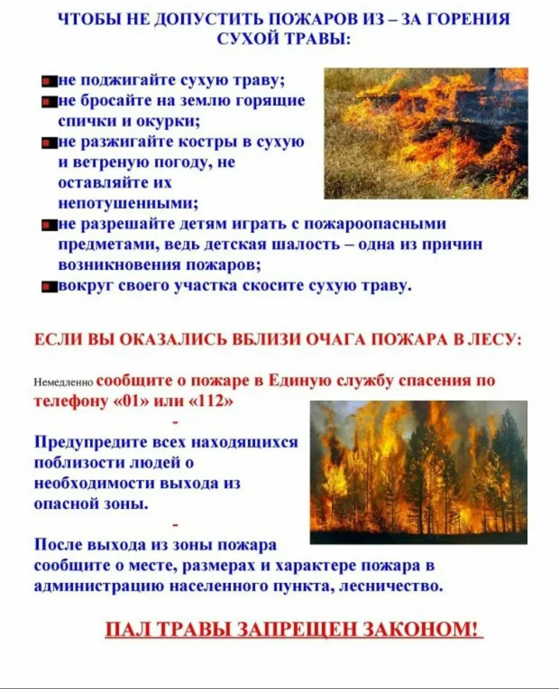 Поджог человека статья
