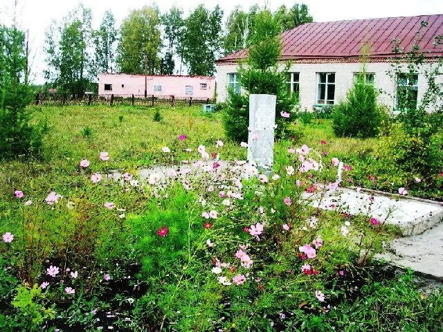 Новосибирская область село Белобородово. Коченевский район Новосибирской области. Белобородово Коченевский район. Коченевский район достопримечательности.