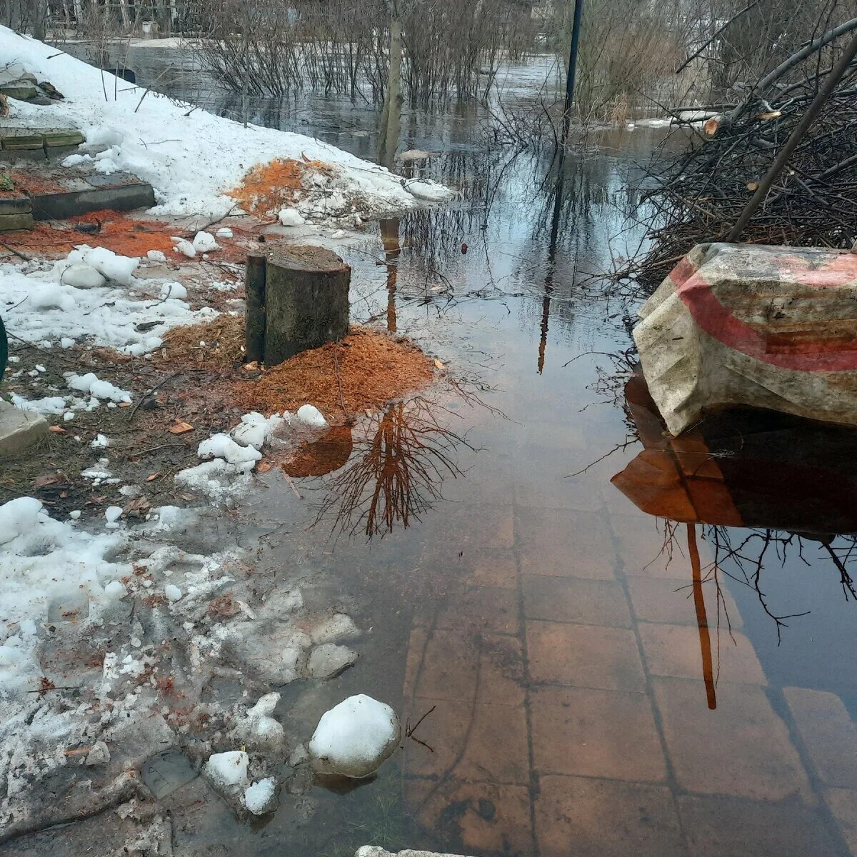 Снег. Снег сошел. Погодные условия. Когда сойдет снег.