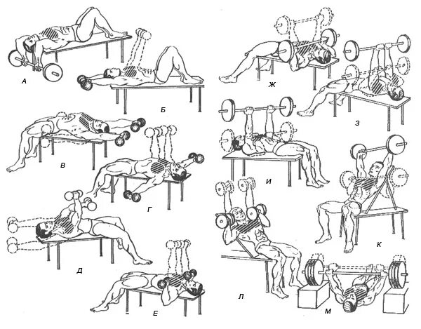 Упражнения в зале для грудных мышц мужчин. Упражнения для качания грудных мышц для мужчин. Упражнения для накачивания грудных мышц для мужчин. Упражнения на грудь с гантелямм. Упражнения для накачивания грудных мышц для мужчин с гантелями.