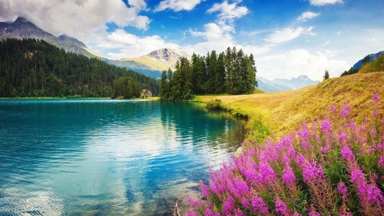 Beautiful relaxing