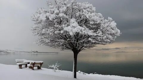 Зима сказала