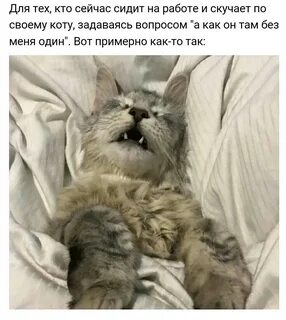 Скучаю по бывшей работе