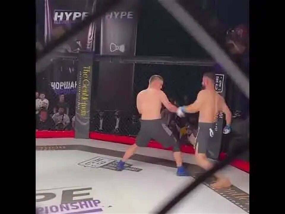 Алиев боец. Ахмед алиев зубайра. Лоик раджабов ufc. Лоик раджабов ахмед алиев. Бой прямой эфир в узбекистане.