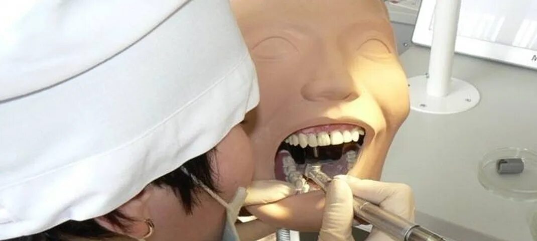 Какие предметы на стоматолога после 11. Предметы для стоматолога после 11. Предметы стоматологического вуза. Стоматологи тренируются на трупах?.
