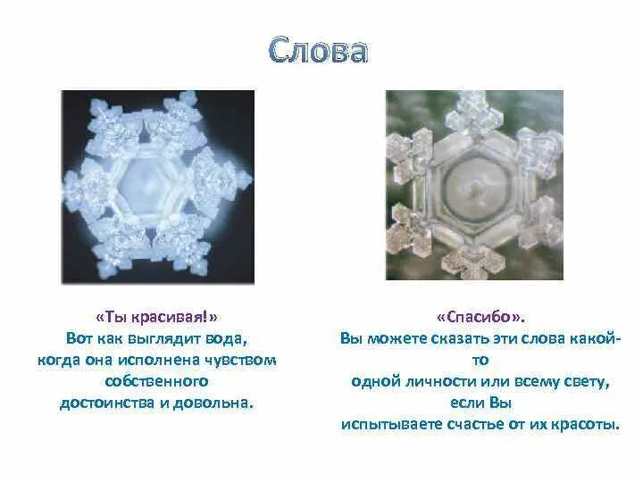 Формы слова заморозка. Масару Эмото спасибо. Кристаллы воды Масару Эмото. Масару Эмото эксперимент с водой. Эмото Масару Кристалл воды любовь.