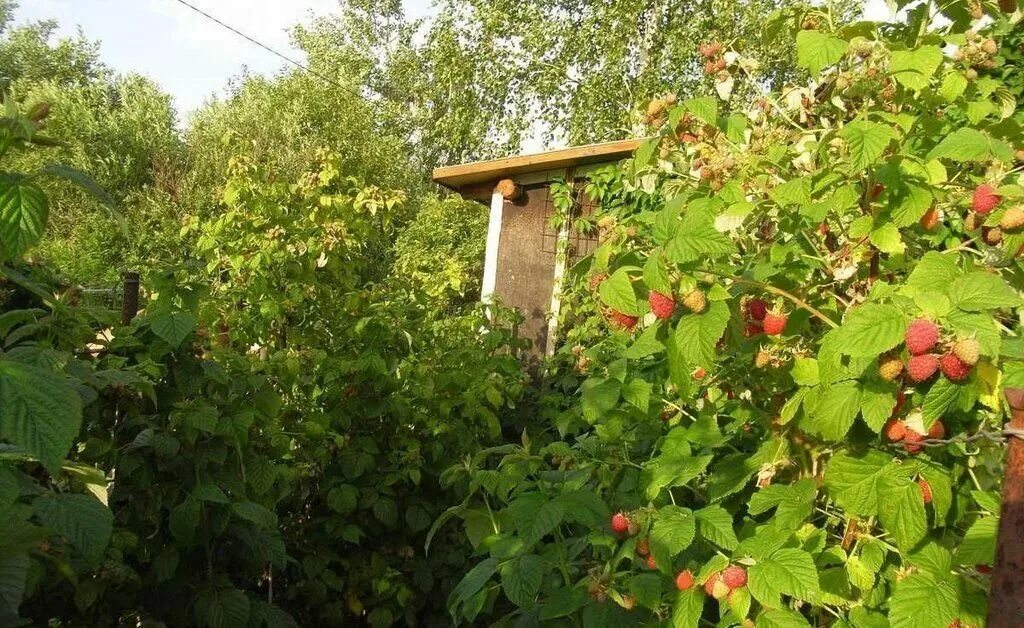 Продаж Дача 20 м² на участке 10 сот. в Тольятти