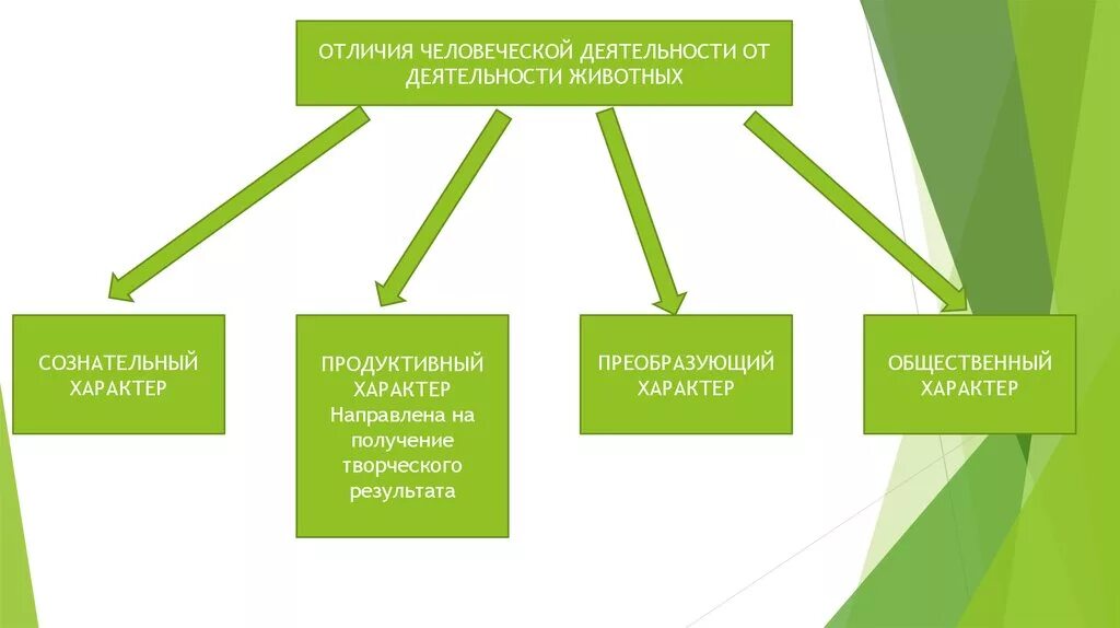 Деятельность человека от активности животных. Отличия человеческой деятельности. Отличие деятельности от поведения. Отличие деятельности человека от активности животных.