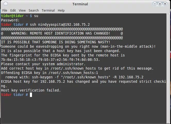 Ssh no matching host key type found. SSH root 192.168. .SSH/known_hosts. SSH root@_Буран-. Разноцветные надписи в консоли SSH.