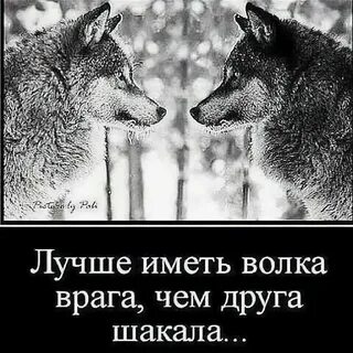Лучше иметь друга чем друг друга значение