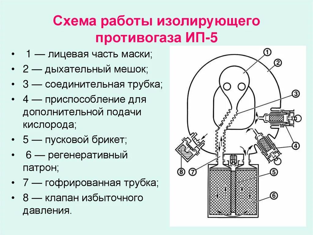 Изолирующая лицевая часть. Изолирующие противогазы ИП-4, ИП-5. ИП-5 противогаз состав. Изолирующий противогаз ИП-4. Устройство изолирующего противогаза.