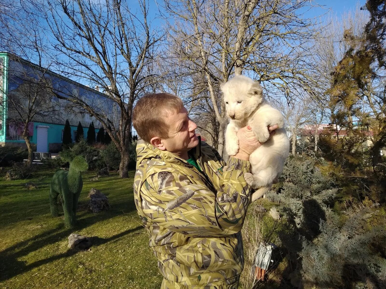 Парк тайган в крыму последние новости. Парк Львов Тайган владелец. Тайган в Крыму директор.