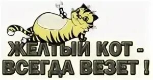 Такси кот