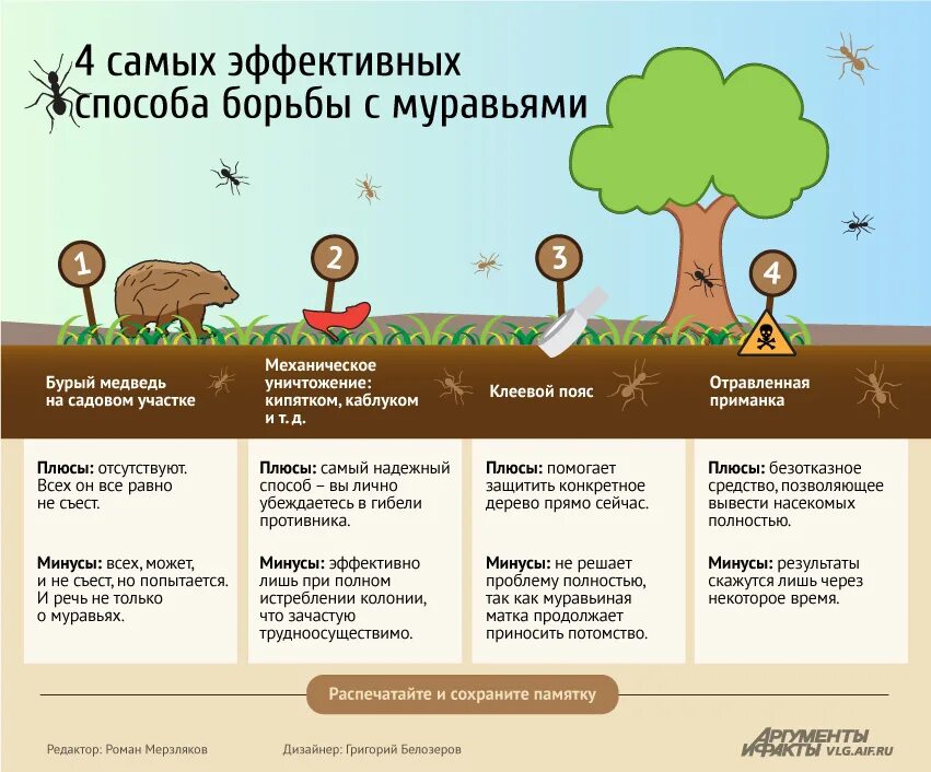 Средство от муравьев на участке навсегда. Как вывести муравьёв с участка. Как избавиться от муравьёв на участке. Средство для борьбы с муравьями. Борьба с муравьями на участке.