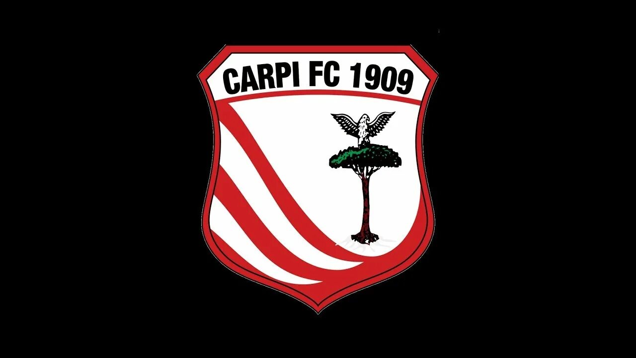 Фк сонна. Спал карпи. Фк феррара. Fc carpi old logo. Спал карпи.