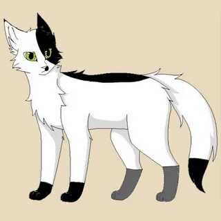 Коты воители девочки