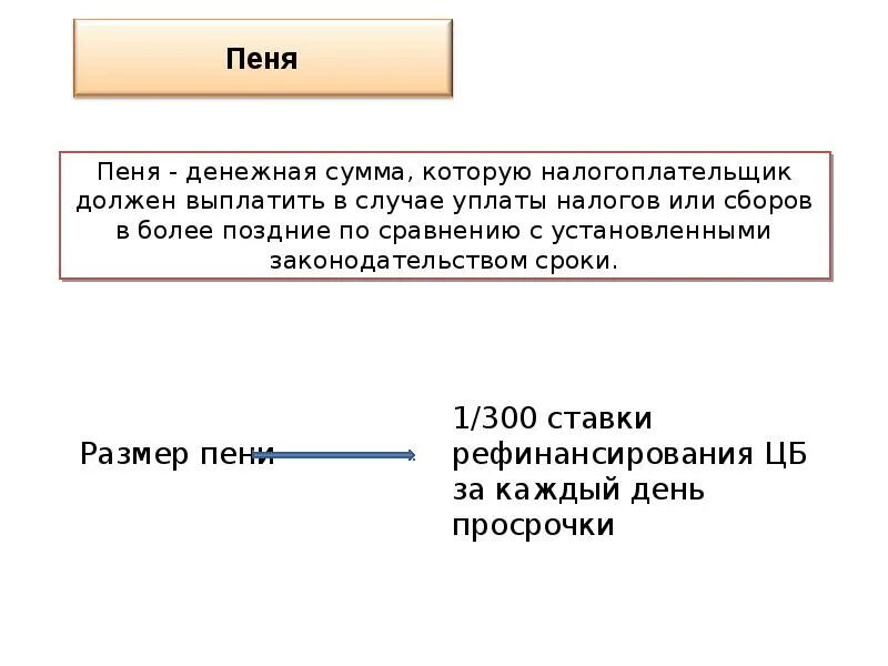 Сумму пени или сумму пеней?. Пеня или пени как правильно. Начисленных пени или пеней как правильно. Оплата пеней или пени как правильно. Налог пеня на пеню