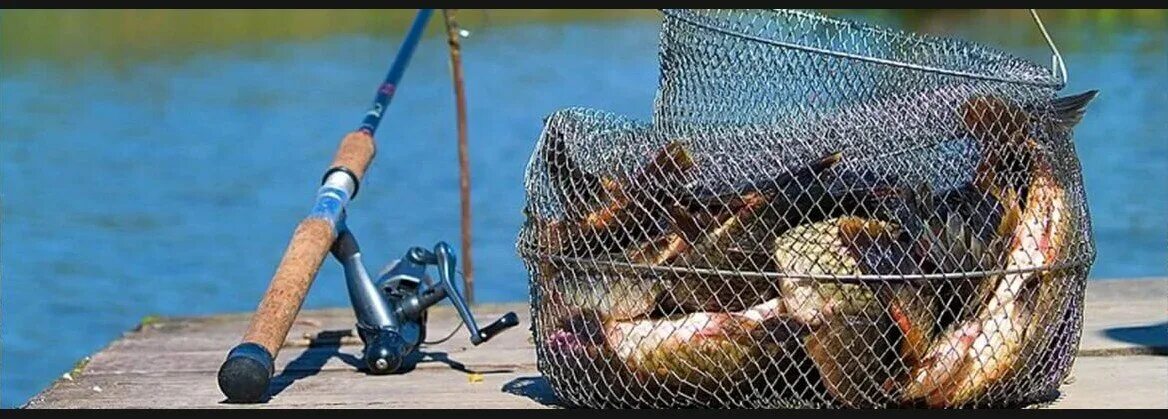 Садок для рыбы металлический. Мережа для рыбалки. Куда ложат рыбу. Место куда класть рыбу. Теперин владимир.