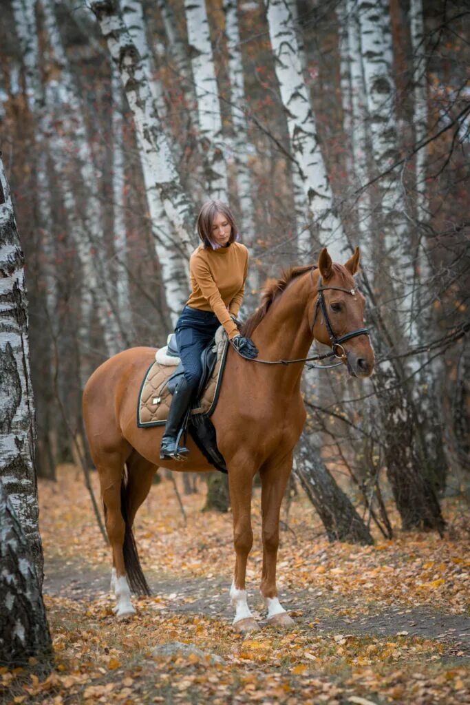 Кск новосибирск. Конные прогулки в КСК Велес. Катание на лошадях. Прогулка на лошадях. Образ для катания на лошади.