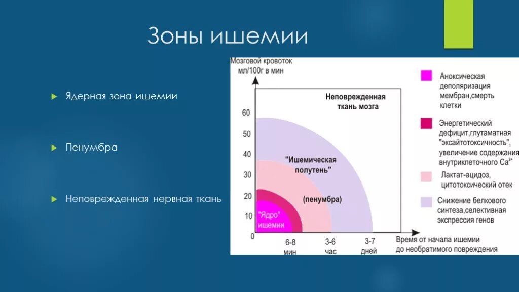 Зона инсульта. Ишемическая полутень Пенумбра. Зона ишемической полутени. Пенумбра зона ишемической полутени. Зоны ишемического инсульта.