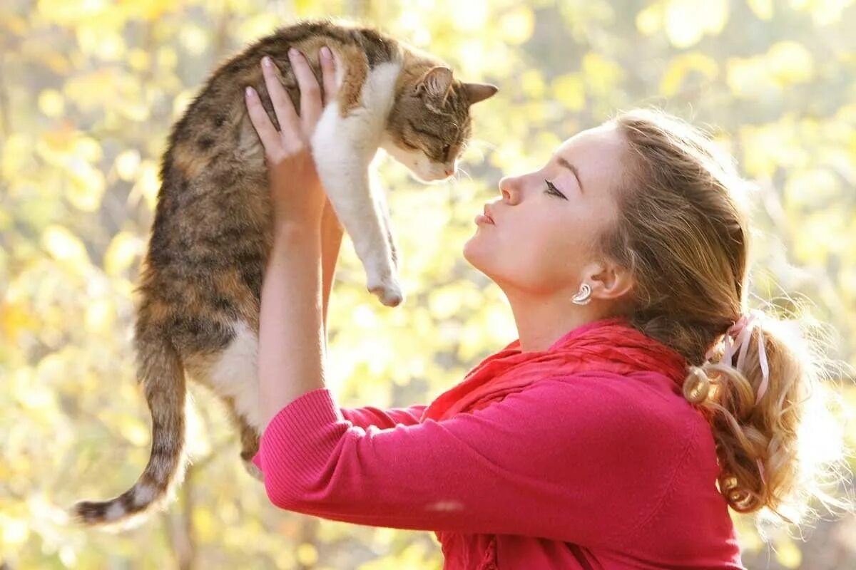 Кот привыкает к хозяевам. Девушка кошка. домашние животные и человек. котенок и человек. кошка на руках.