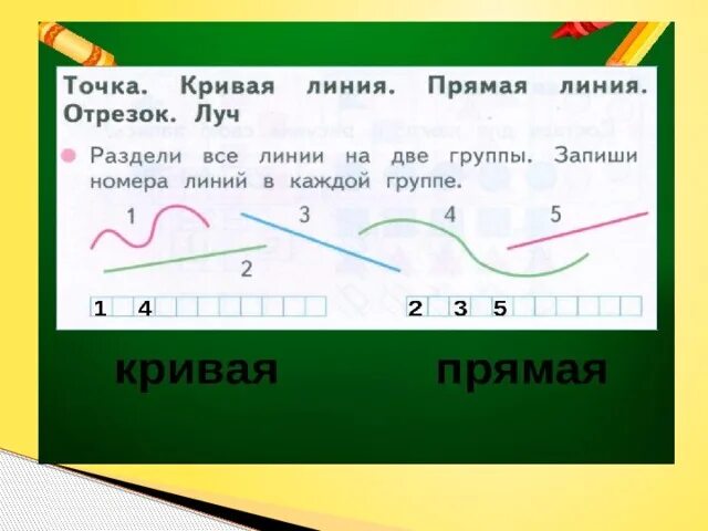 Точка прямая и кривая линии. Точка линия кривая прямая отрезок. Раздели все линии на две группы. Запиши номера линий в каждой группе. Точка кривая линия прямая линия отрезок. Группа прямая линия