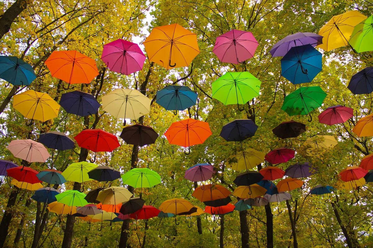 Веселые зонтики. Разноцветные зонтики. Осенний зонтик. Красочный зонтик. Зонты в парке.