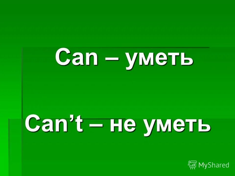 Can уметь. Can уметь. Can уметь. Can могу умею 2 класс. Can уметь.