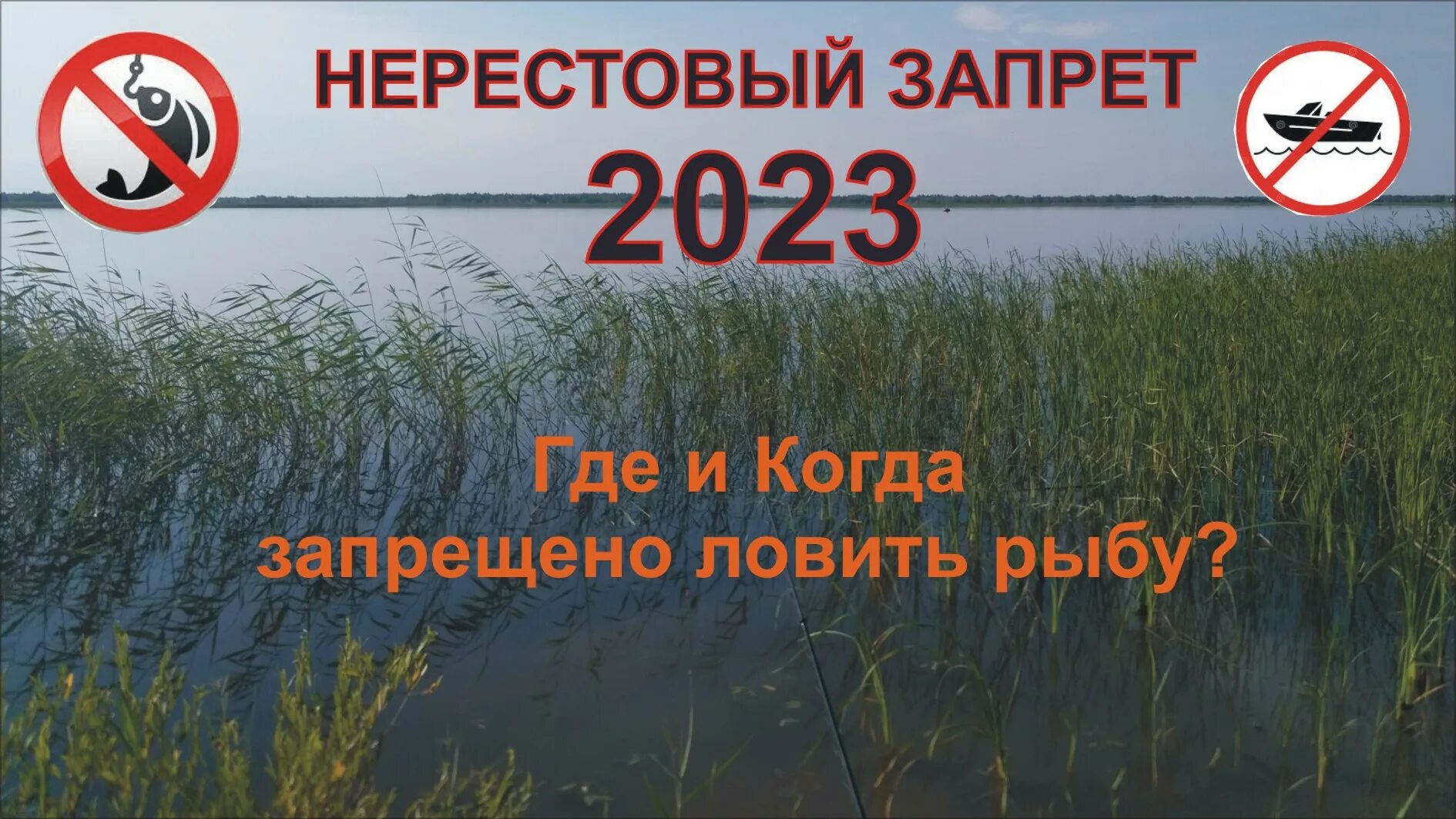 Запрет ловли в 2023 году