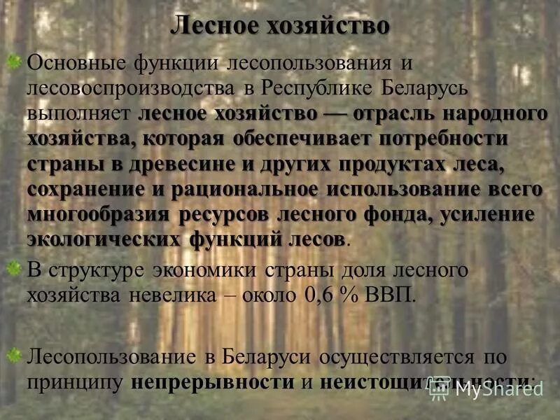 тест лесные богатства беларуси 3 класс