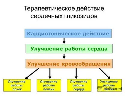 Действие гликозидов