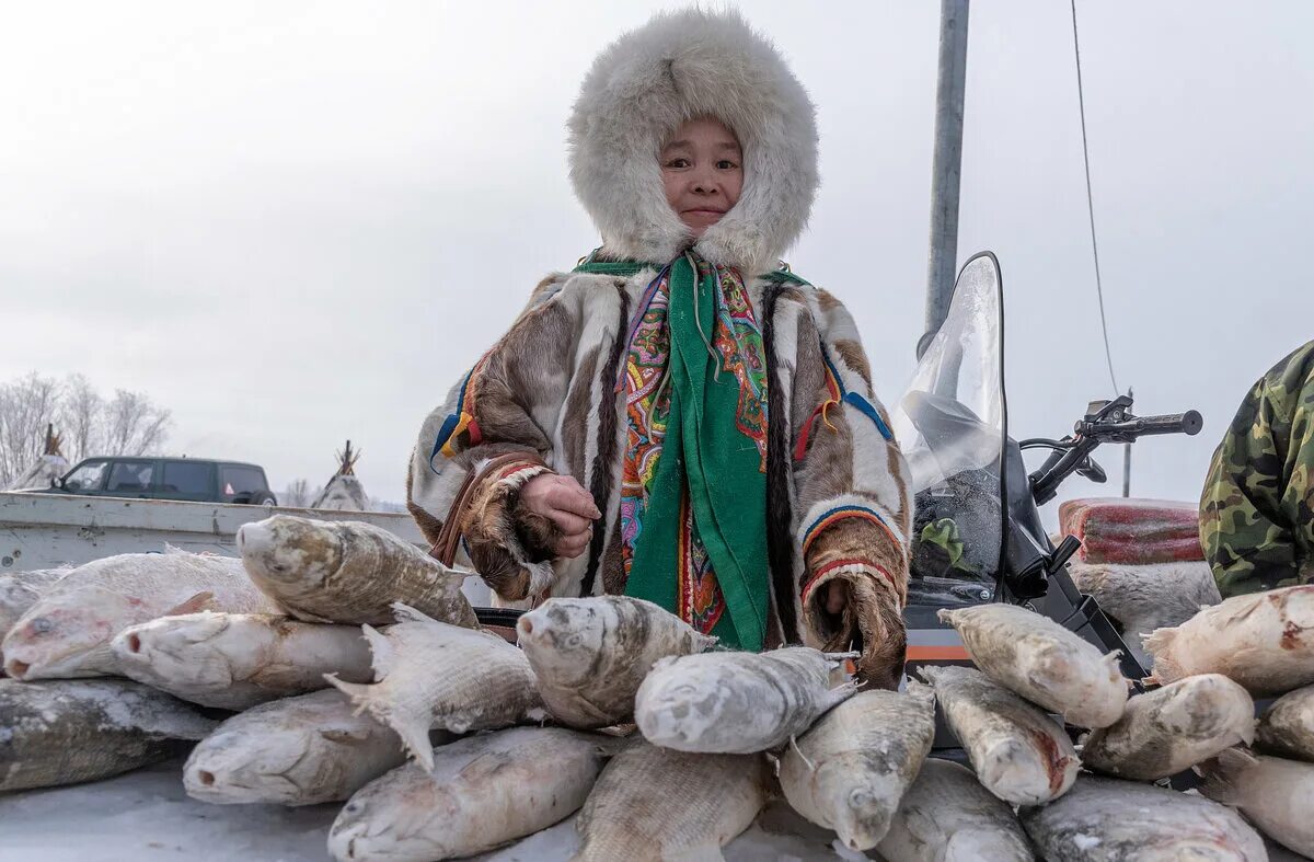 Я на отдых янао. День оленевода в Надыме 2020. Тазовский поселок оленевод. Ненцы Тазовский. Надым праздник оленеводов.