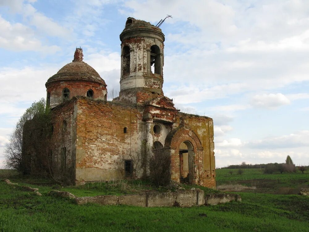 Район село васильевка