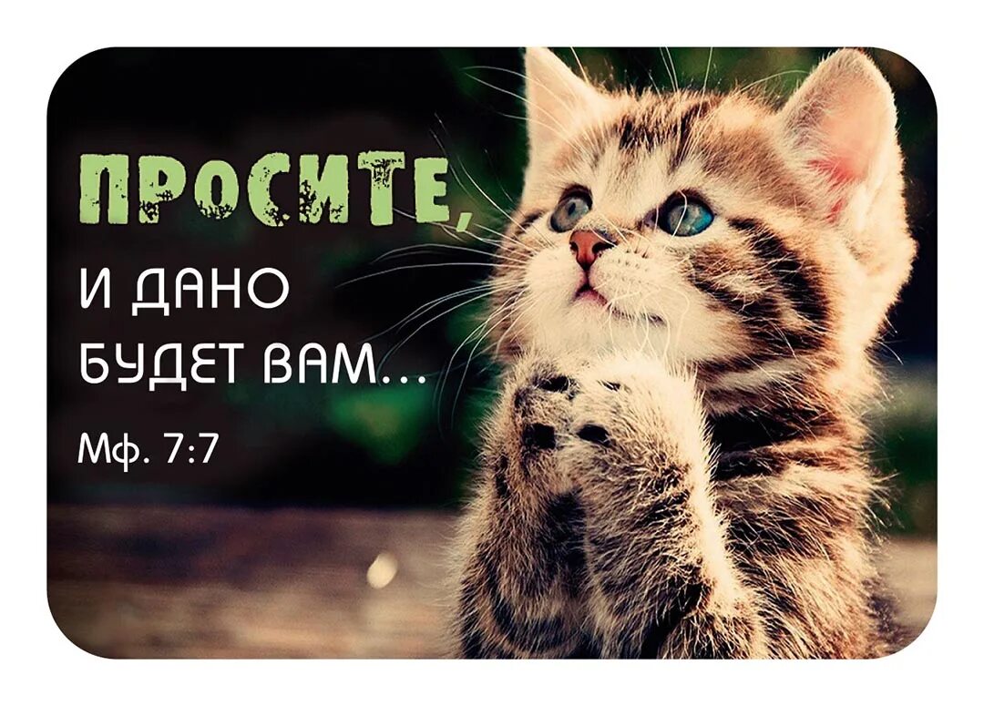 1 и 8 просим