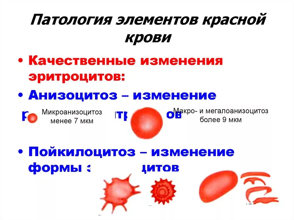 Форму патологии клеток системы крови. Форма патологии клеток эритроцитов. Патологические формы эритроцитов периферической крови. Изменения красной крови.