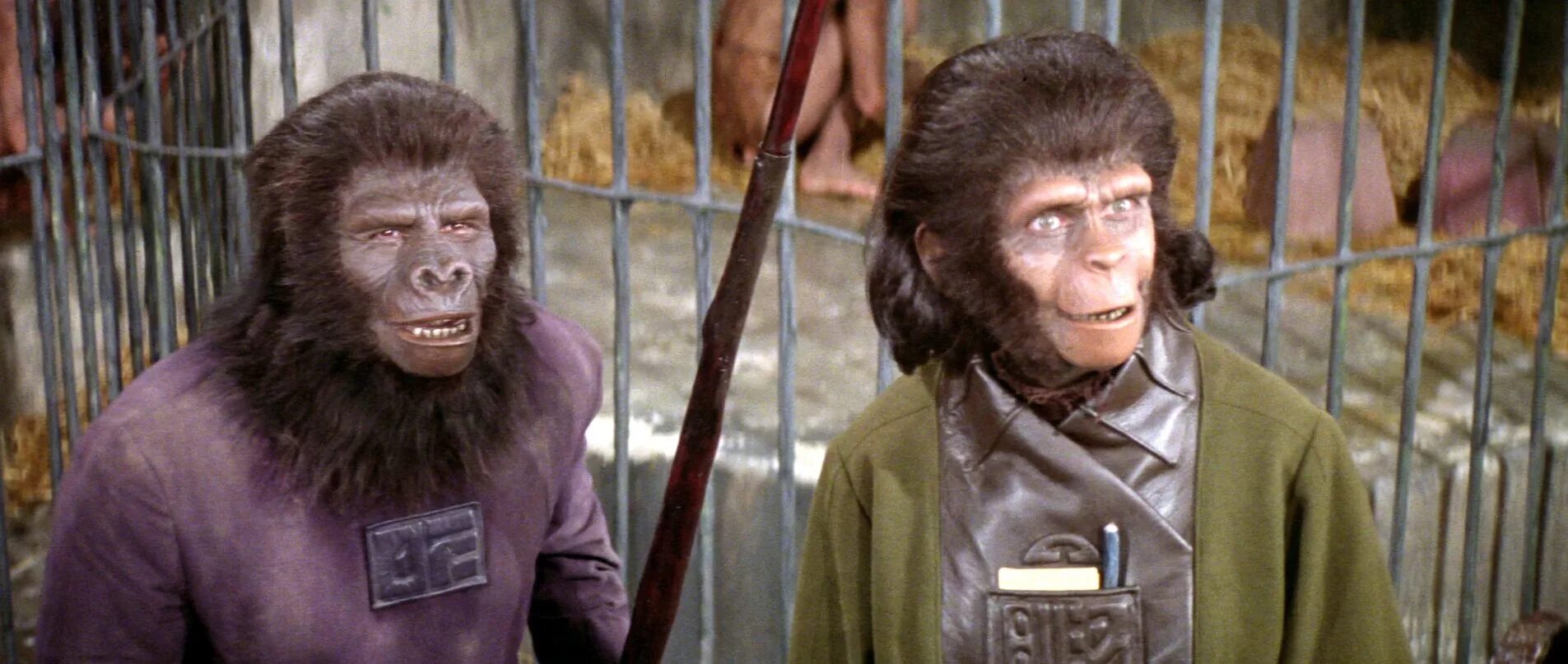 Планета обезьян 2024 год. Планета обезьян 1968. Планета обезьян / Planet of the Apes (1968). Планета обезьян 1968 Зира.