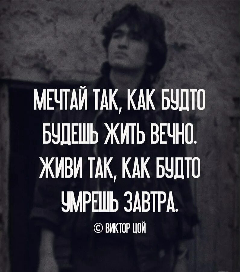 Живущий не вечно 8. Цитаты Цоя. Собрался жить вечно. Жить вечно цитаты.