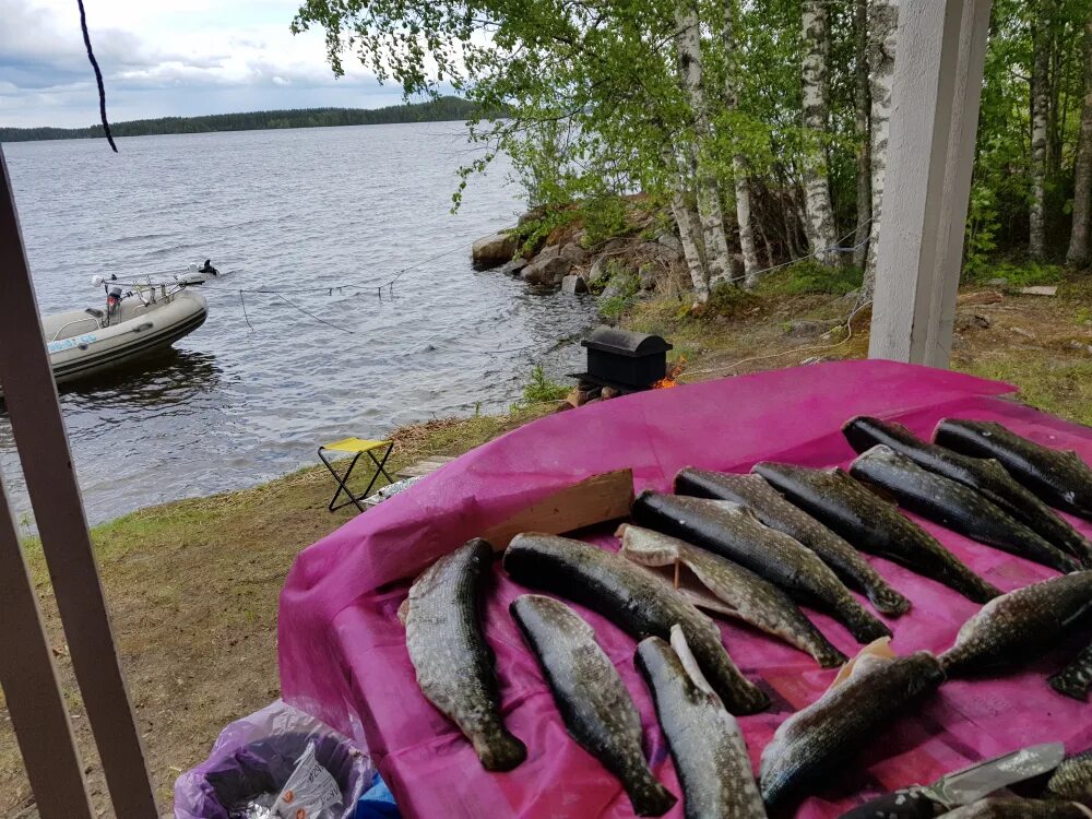 Питерский клуб рыбаков. Питерский Рыбак. Питерские водоемы. Клуб питерских рыбаков водоема.