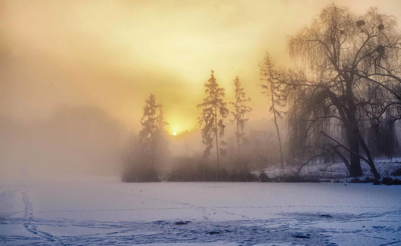 Зимнее утро. Зима туман. Морозное утро. Зимний пейзаж с туманом.