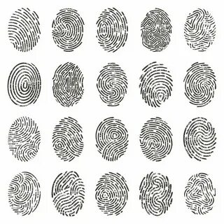 Rsa fingerprint