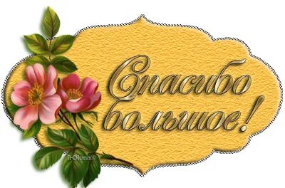 Спасибо за ничего. Стикер спасибо. смайлик благодарности. стикеры благодарности. открытки с благодарностью.